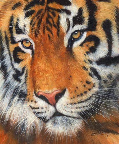 Tiger Portrait Painting By David Stribbling Fine Art America