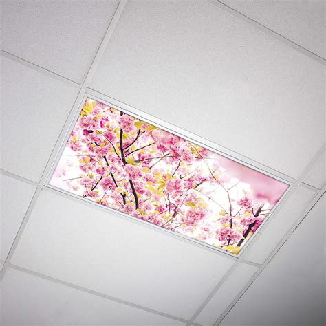 Buy Octo Lights Fluorescent Light Decorative Covers For Classroom