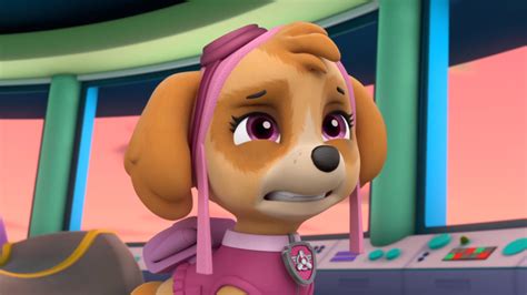 Image Pp1056png Paw Patrol Wiki Fandom Powered By Wikia