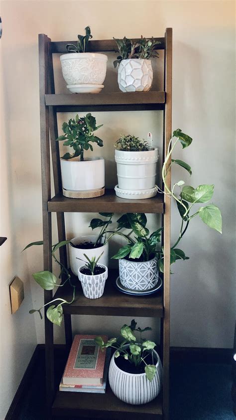 Just Purchased A New Shelf For All My Indoor House Plants Rhouseplants