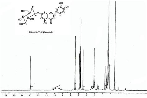 O is a flavonol glucoside. 1H NMR sprctra of luteolin-7-O-glucoside (400 MHz, DMSO-d6 ...