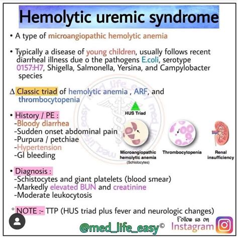 Hemolytic Uremic Disease Medizzy