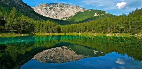 A Busy Bees Life Colorful Places Green Lake Styria