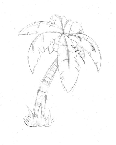 Summer Is Here And We Know You All Want To Learn How To Draw A Palm