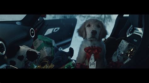 The daimler trucks family encompasses six strong brands. Mercedes-Benz 2017 Winter Event Commercial - "Pit Stop" - YouTube | Santa dog, Winter driving ...
