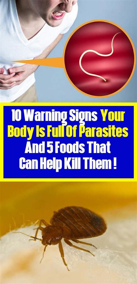 Signs That Show Your Body Is Full Of Parasites In 2020 Parasite