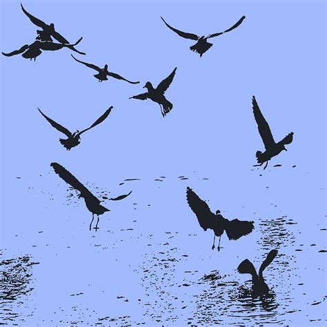 Silhouette Of A Flock Of Seagulls Over Water Vector Digital Art By