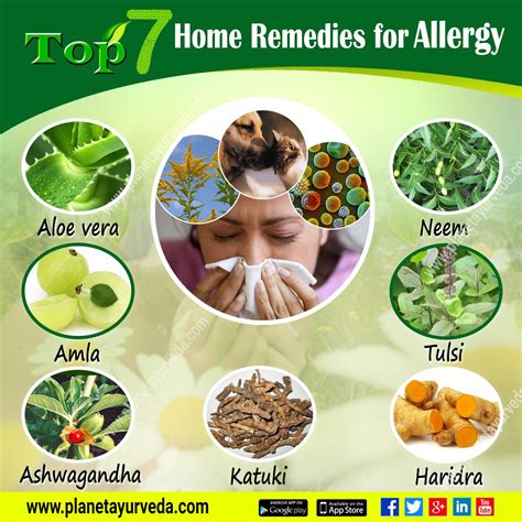 Top 7 Home Remedies For Allergy
