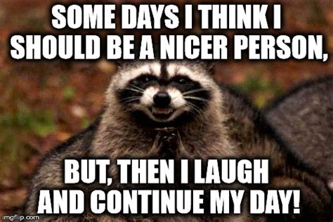Evil Plotting Raccoon Meme Imgflip