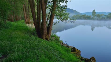 Nature Landscape Trees Plants Grass Sky River Mist Rocks