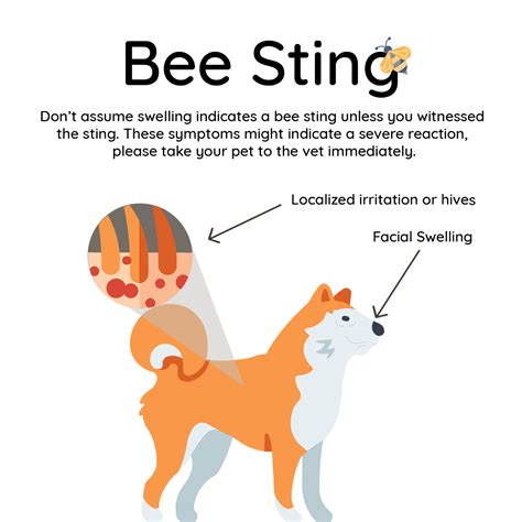 Bee Sting Petriage
