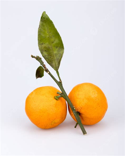 Simple Orange Fruit Fresh Oranges On White Background Simple Orange