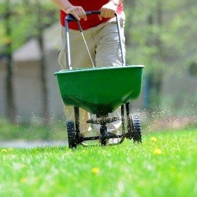 Over the years i have found that small adjustments to my watering. Overseeding: A Key to Beautiful Lawns | Seeding lawn, Overseeding, Overseeding lawn