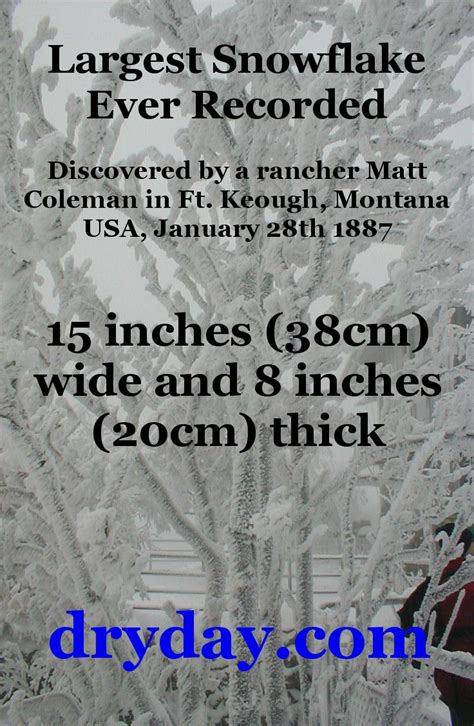 Largest Snowflake Ever Recorded Records Coleman Christmas Is Coming