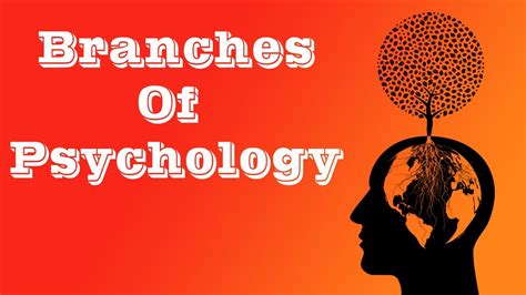 Branches Of Psychology Youtube