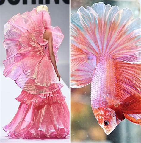 Lisas World Fashion Often Draws Inspiration From Nature And This Instagram Account Proves It