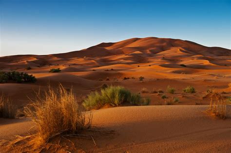 Viaje FotogrÁfico A Marruecos Desierto Del Sahara Curso Fotografia
