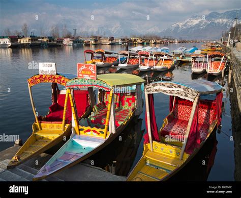 India Kashmir Srinagar Dal Lake Shikaras And Houseboats With View