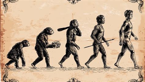 A Semmi Közepén Türelmetlen Tiszta Imagenes Sobre La Evolucion Del