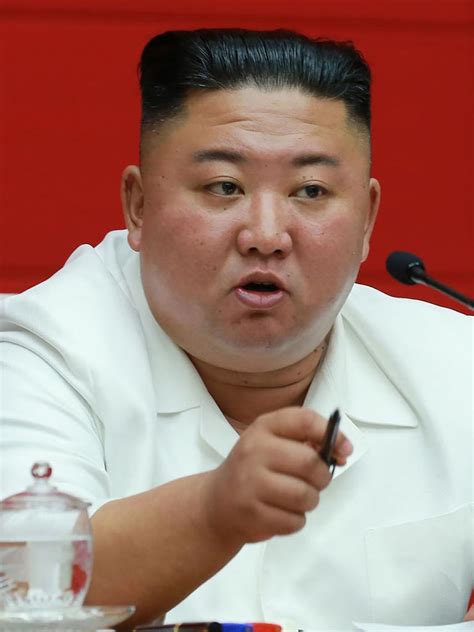 Kim Jong Un In A Coma Sister In Control South Korea Media Reports Au — Australias