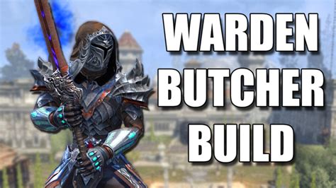 The 10 Best Eso Warden Builds Pvppve Gamers Decide