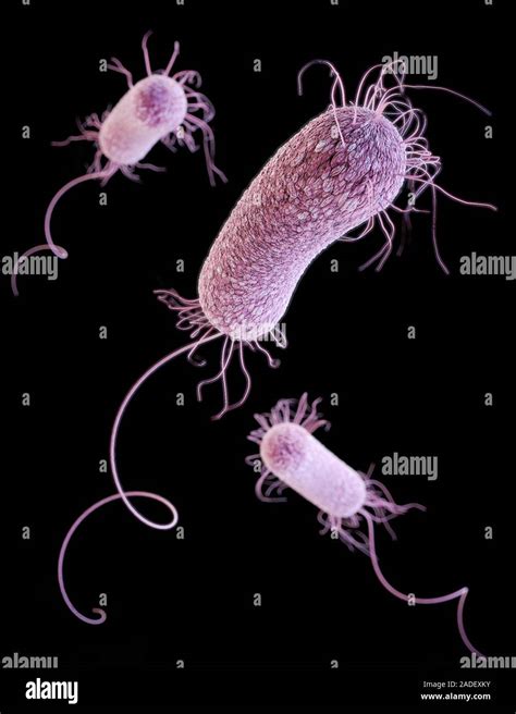 Pseudomonas Aeruginosa Multirresistentes Bacterias Ilustración 3d Por