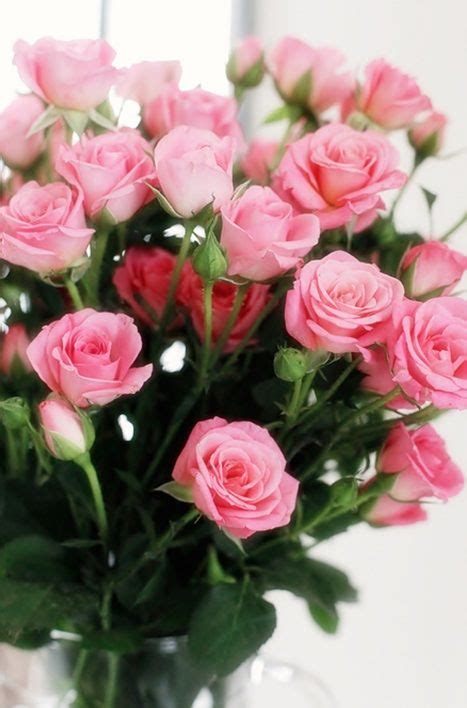 Pink Rose Bouquet ~ Roses Are A Symbol For Love And Gratitude The Pink