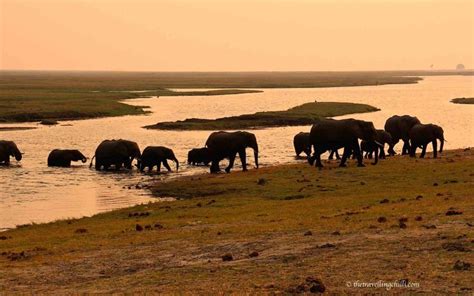 25 Interesting Facts About Botswana The Travelling Chilli Mammals