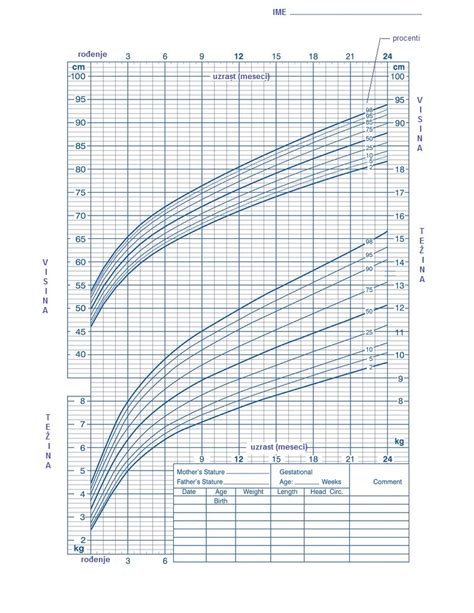 Rast Bebe Po Mesecima Tabela Rasta Bebe Visina I Težina U Prvih 12
