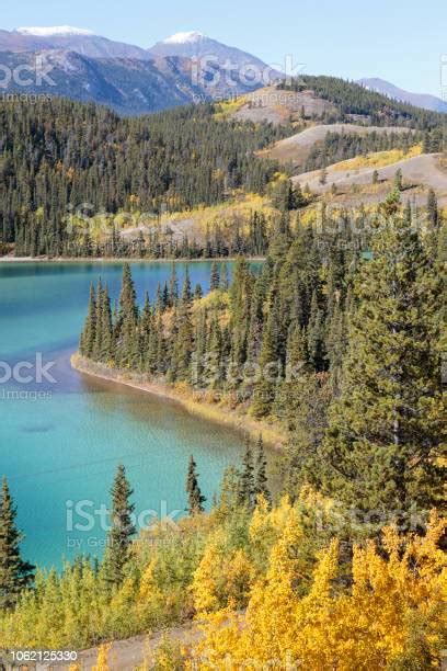 Emerald Lake Near Carcross Yukon Canada Stock Photo Download Image