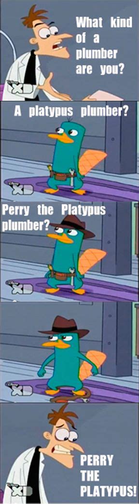 Die 15 Besten Bilder Von Perry Das Schnabeltier Schnabeltier Phineas