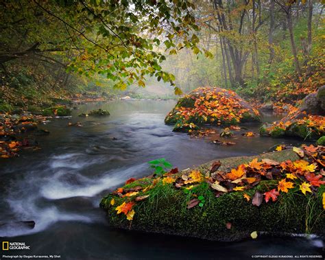 50 National Geographic Wallpapers Fall