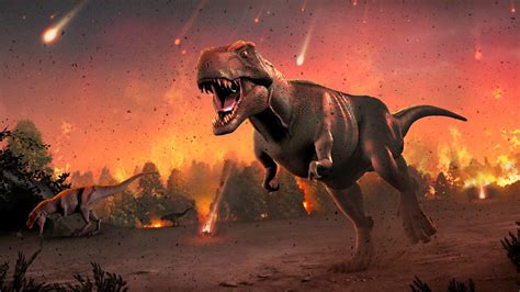 Dinosaur Extinction Asteroid Strike Was Real Culprit Bbc News