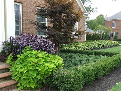 Spacing japanese boxwood plants is important for their growth. Boxwood Growth Over Time | Thinking Outside the Boxwood