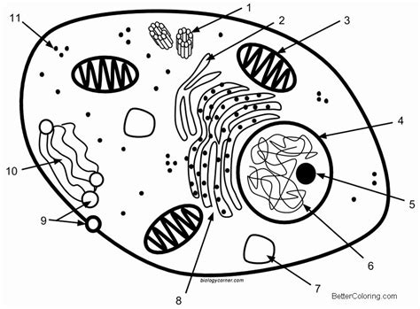 More 100 images of different animals for children's creativity. 28 Animal Cell Coloring Page in 2020 | Coloring pages ...