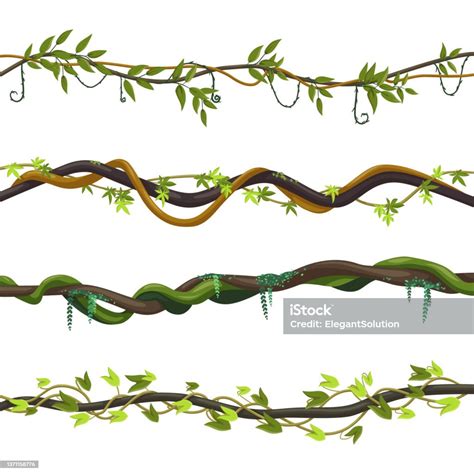 Set Of Isolated Jungle Vines Twisted Liana Plant Stock Illustration