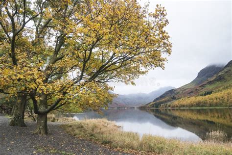 Stuning Autumn Fall Landscape Image Of Lake Buttermere In Lake D Stock