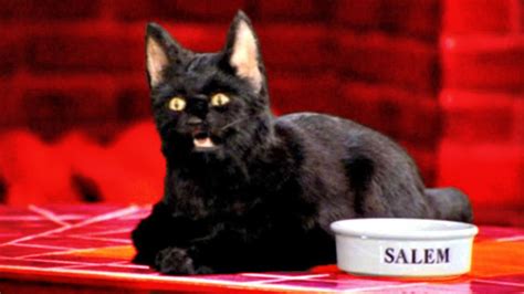 Sabrina 10 Facts About Salem Her Cat
