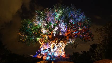 Disney World Animal Kingdom Night Time Show Tree Of Life Awakenings