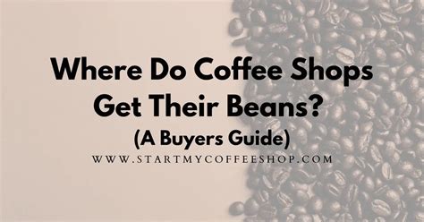 Where Do Coffee Shops Get Their Beans A Buyers Guide Start My
