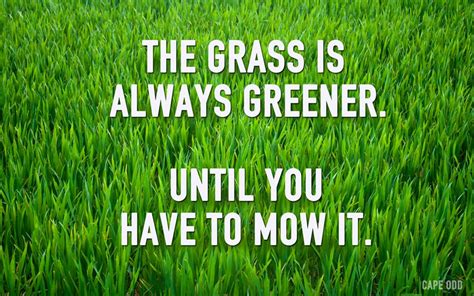 The Grass Is Always Greener Until You Have To Mow It