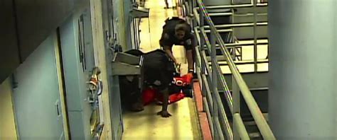 New Video Shows Teen Slammed By Guard Beaten By Inmates In Rikers Island Jail Abc News