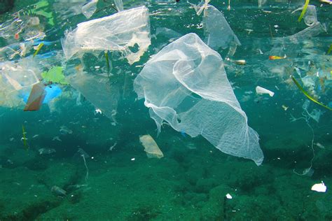 Plastic Pollution In The Ocean Common Causes And Ways To Reduce