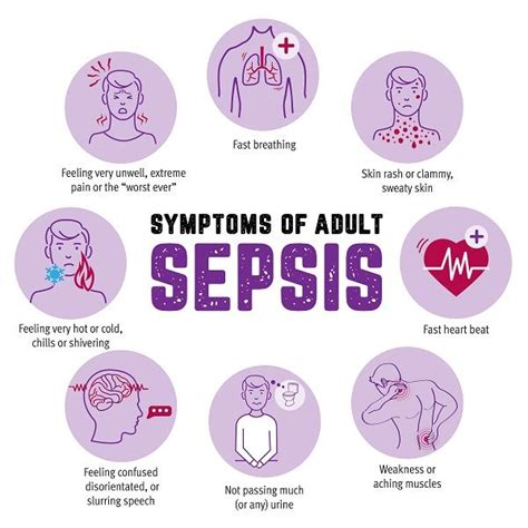 What Is Sepsis Queensland Health Sepsis Sepsis Symptoms What