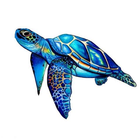 Pin By Tami Aills On Cups Turtle Painting Sea Turtle Painting Sea