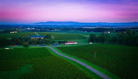Local Flavors At Yadkin Valley Wineries Carolina Country