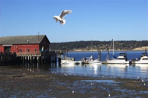 Whidbey Island Is A Top Travel Destination For Couples In The Us