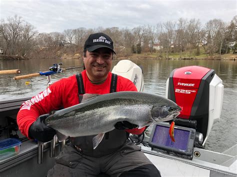 Back Trolling Tips For Steelheaders From Yakima Bait The Fishing Wire