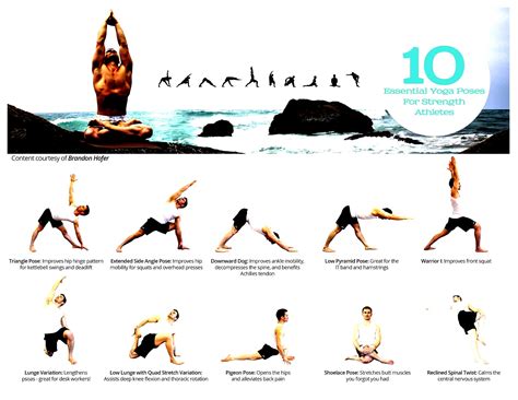 Yoga Poses Names And Pictures Pdf Yoga Poses