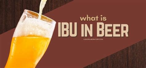 What Is Ibu In Beer Meaning And Guide 2024 Best Edition